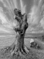 Trevor-Marcusson_Upon-This-Blasted-Heath