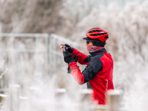 Bill Hamilton_Cold Snap