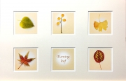 Andre Neves_ Turning Leaf