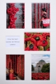 Jo Norcross_Honour their Spirit