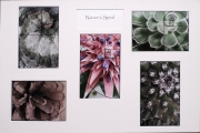 Karen Butler-Clark_Nature's Spiral