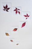 3rd - Fall: Jenny Collier 3rd - Fall: Jenny Collier