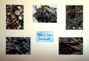 Anne Truman_ What Lies Beneath