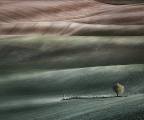 Peter North_Folded-Fields