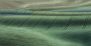 Shades-of-Green