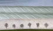 Snowdust