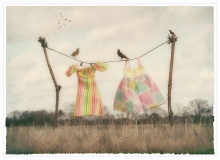 2nd - Nigel-Northwood_sunday-best-and-songbirds