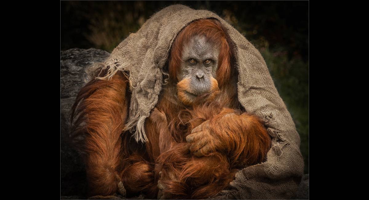 Annette Willacy_A Mothers Love (Copy)