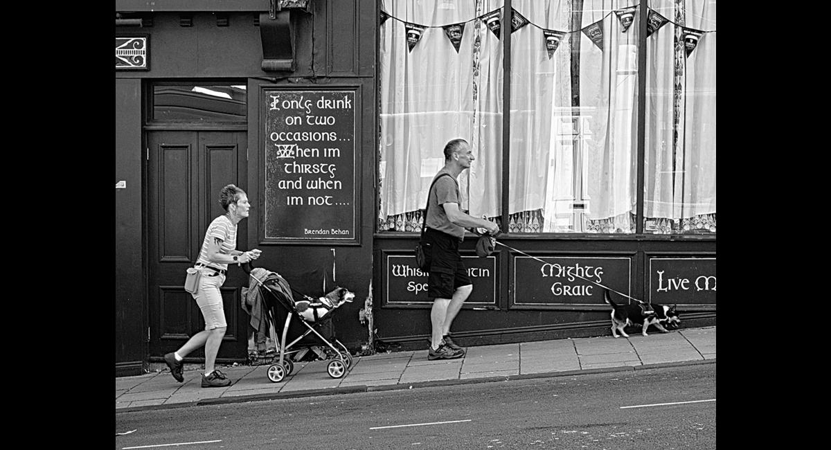 David Bennett_Exercising the dogwalkers (Copy)
