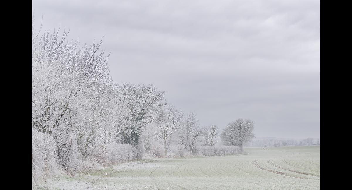 David Brock_A cold and frosty morning (Copy)
