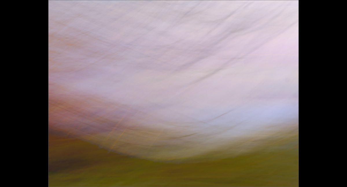 Jenny Collier_Then the Wind Blew (Copy)