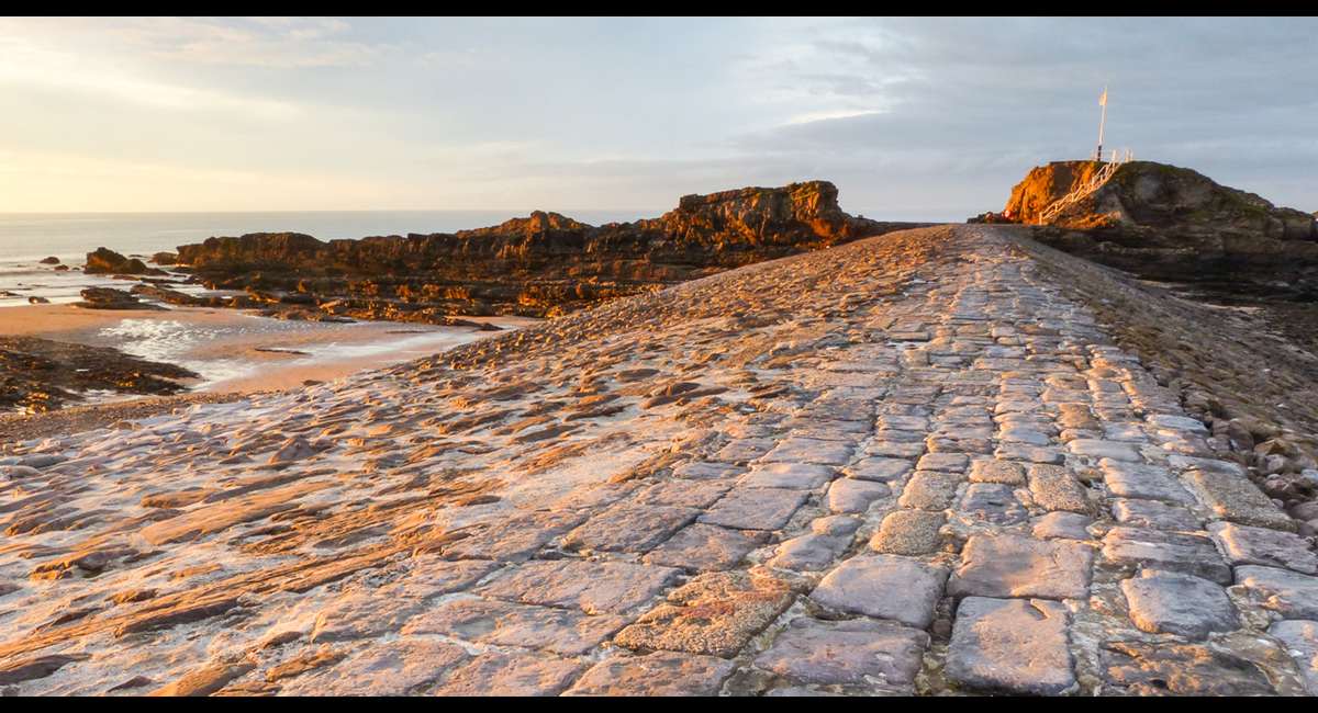 Rosemary Burt – Rosemary Burt_Early evening light (Copy)